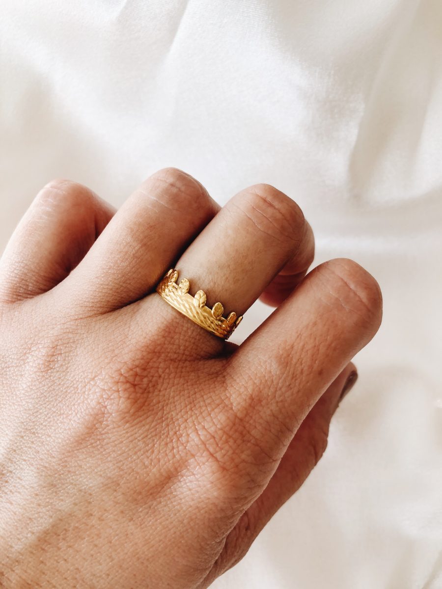 Anel em Aço Dourado Ajustável com Folhas Pequeninas