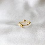 Anel em Aço Dourado com Estrela