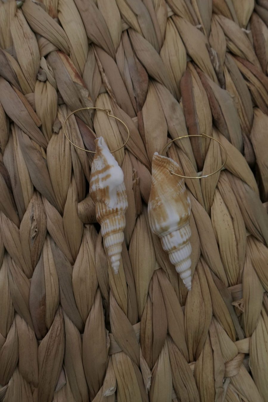 Brincos com Búzios Grandes e Conchas Pequenas