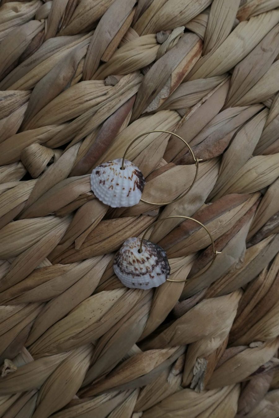 Brincos com Búzios Grandes e Conchas Pequenas
