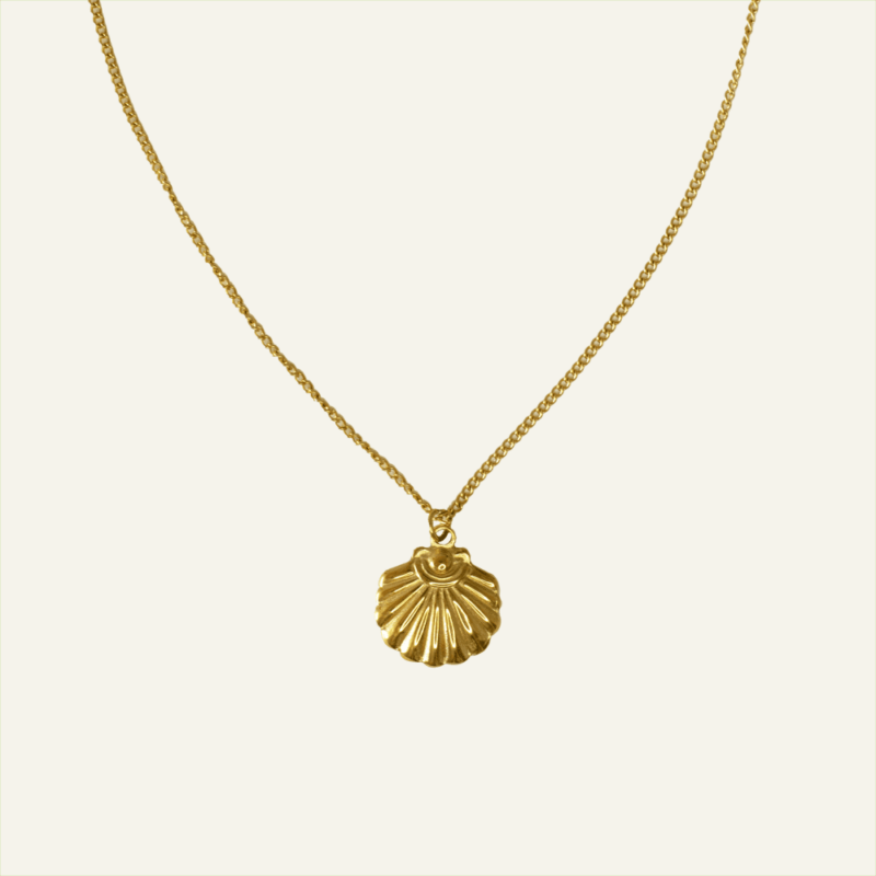 Colar em Aço Dourado com Concha Achatada